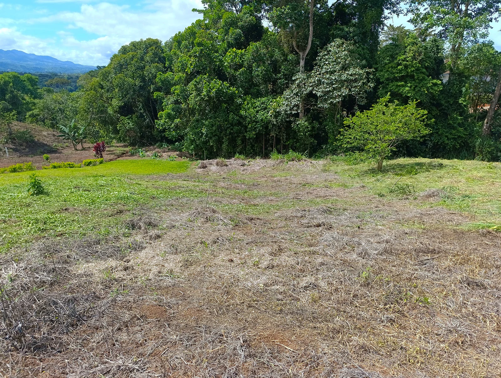 Lote en venta en San Rafael Norte 838m
